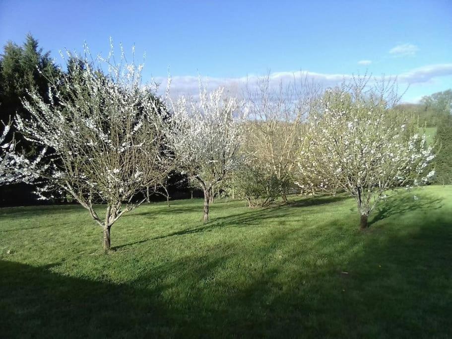 Villa Dependance Pour 1 A 4 Pers Au Calme Dans Propriete Marboz Exterior foto